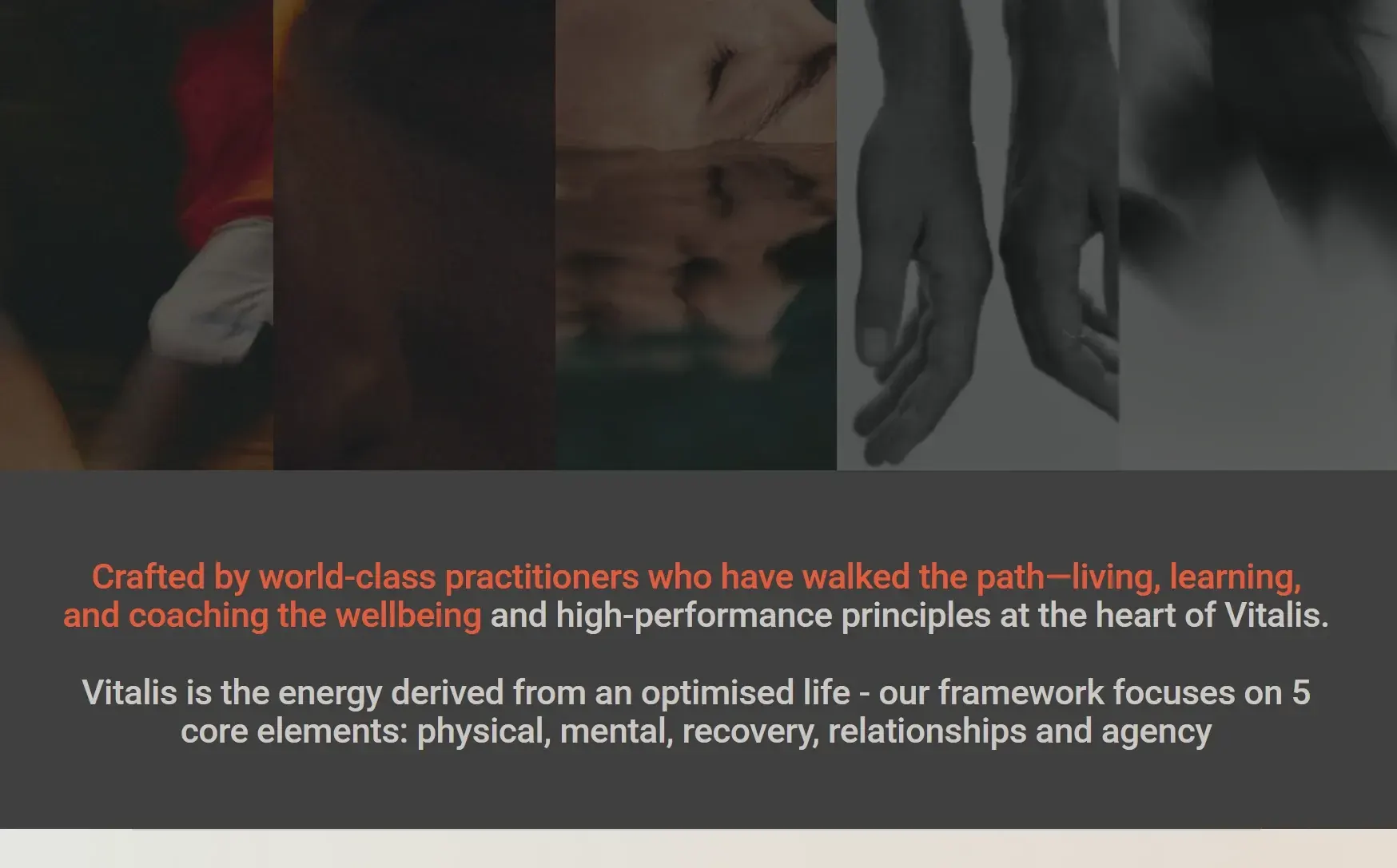 The old homepage: a strip of dark, blurred photos above a grey panel with the mission statement in orange and grey text